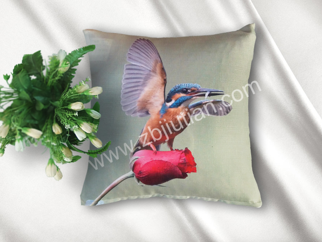 cushion